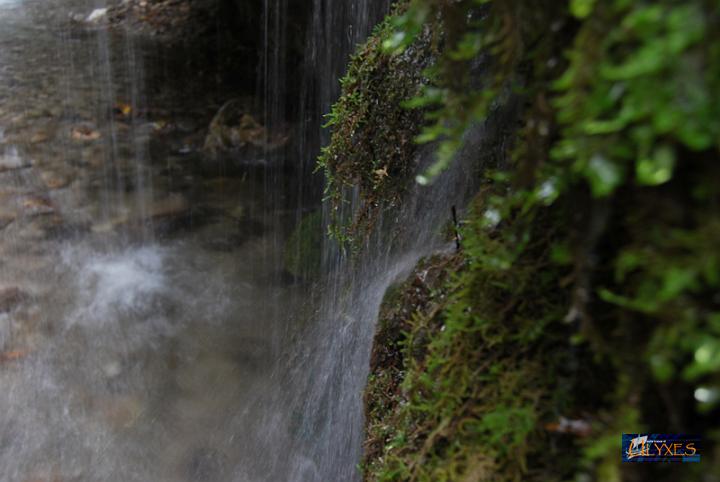 cascate di muschi.JPG